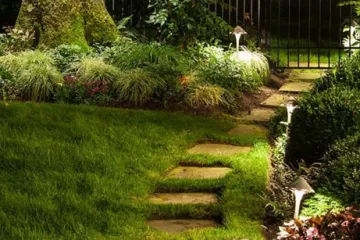 A Practical Guide to Outdoor Lighting Maintenance